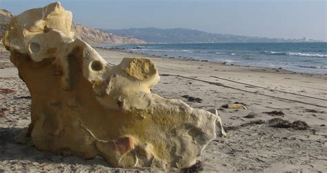 blacks beach nude|True Nudists : Courtney visits nude beach, Blacks beach